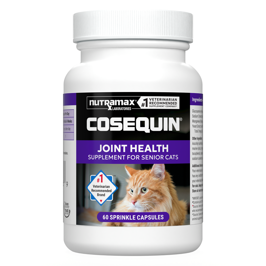 茶 ksks ksks King Seiko's New KSK Watches Have Dials Inspired by Flora