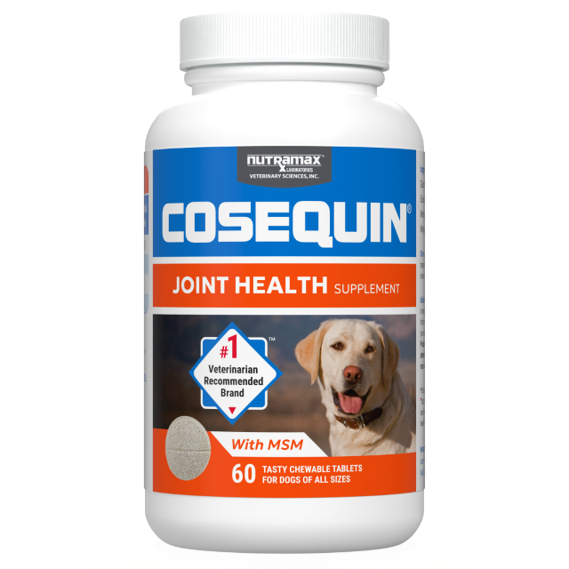 Cosequin Maximum Strength Plus MSM