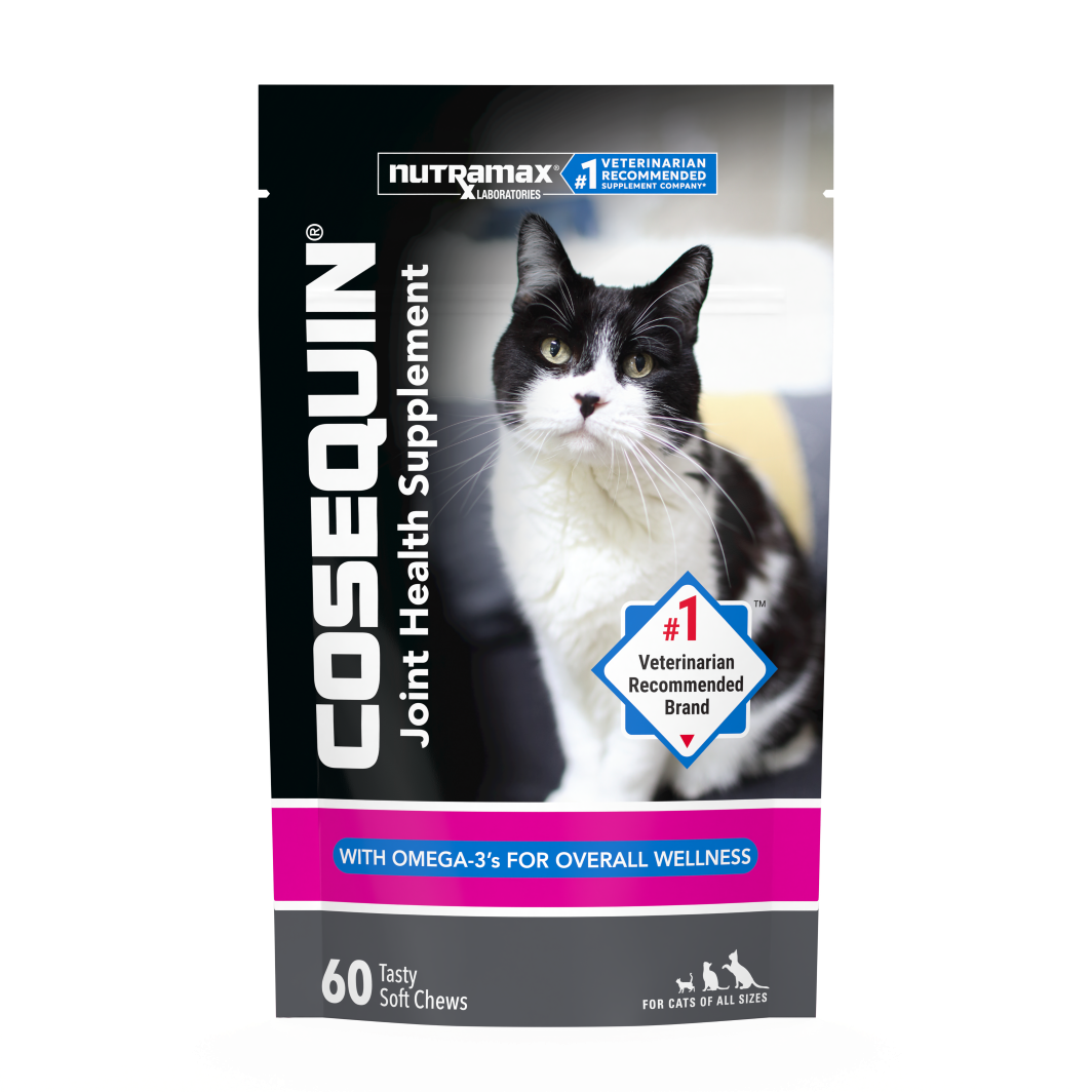 Cosequin® Soft Chews for Cats | Joint Support with Skin & Coat Support