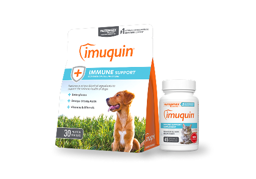 Imuquin® Immune Health Supplement for Cats and Dogs