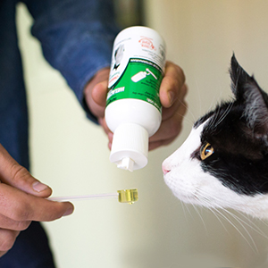 Dispensing Welactin liquid to cat using included scoop